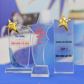 Giải thưởng cống hiến y tế